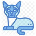 Gato siames  Icon