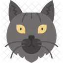 Gato Siberiano Pelaje Grueso Grande Icono