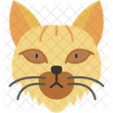 Gato Siberiano Pelaje Grueso Hipoalergenico Icono