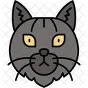 Gato Siberiano Pelaje Grueso Grande Icono