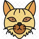 Gato Siberiano Pelaje Grueso Hipoalergenico Icono