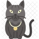 Gato Siberiano Pelaje Grueso Grande Icono