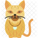 Gato Siberiano Pelaje Grueso Hipoalergenico Icono