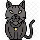 Gato Siberiano Pelaje Grueso Grande Icono