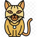 Gato Siberiano Pelaje Grueso Hipoalergenico Icono