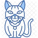Gato Siberiano Pelaje Grueso Hipoalergenico Icono