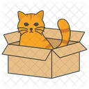 Gato Sin Hogar Gatito Sin Hogar Box Icon