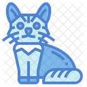 Gato somalí  Icon