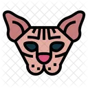 Gato Sphynx Gato Razas Icon