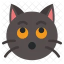 Gato surpreso  Icon