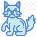 Gato turco  Icon