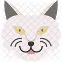 Gato De Angora Turco Pelaje Sedoso Elegante Icono