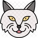 Gato De Angora Turco Pelaje Sedoso Elegante Icono