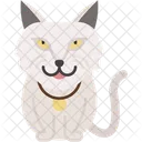 Gato De Angora Turco Pelaje Sedoso Elegante Icono