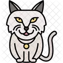 Gato De Angora Turco Pelaje Sedoso Elegante Icono