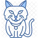 Gato De Angora Turco Pelaje Sedoso Elegante Icono