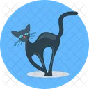 Gatto malvagio  Icon