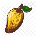 Gattung Mangifera Mango Baum Icon