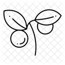  Icône