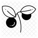  Icône