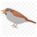 Sparrow House Finches Bird Icon