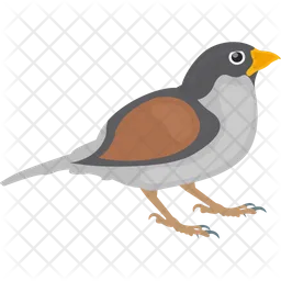 Gauraiya Sparrow  Icon
