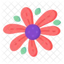 가자니아 꽃  아이콘