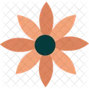 Gazania Flower  Icon