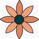 Gazania Flower Vibrant Bloom Colorful Petals Icon