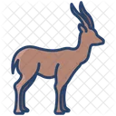 Gazell Animal Wildlife Icon