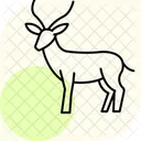 ガゼル アイコン