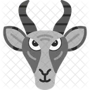 Gazelle Face Gazelle Antelope Icon