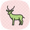Gazelle Icon