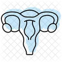 Uterus Farbe Schatten Dunne Linie Symbol Icon