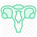 Uterus Duoton Liniensymbol Icon