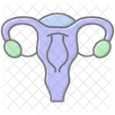 Uterus Linear Farbsymbol Symbol