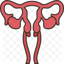 Zervikal  Symbol