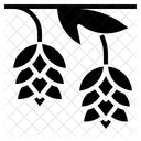 Hopfen Brauen Geschmack Symbol