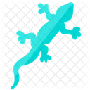 Gecko Reptil Gecko Colorido Icono
