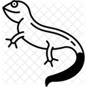 Gecko  Icon