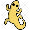 Gecko  Icon