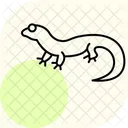 Gecko A Queue Grasse Gecko A Queue Grasse Reptile Icône