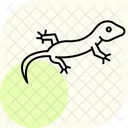 Gecko Diurne Gecko Diurne Reptile Icône