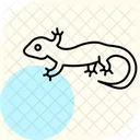 Gecko Leopard Gecko Leopard Reptile Icône