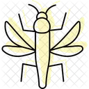 Spazierstock Insekt Tarnung Symbol