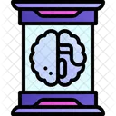Gehirn Menschliches Gehirn Intelligenz Symbol