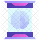 Gehirn Menschliches Gehirn Intelligenz Symbol