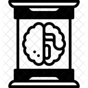 Gehirn Menschliches Gehirn Intelligenz Symbol