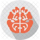 Gehirn Aktivitat Neurologie Icon