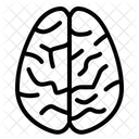 Gehirn Mensch Organ Symbol